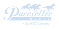 Pacesetter logo.
